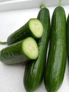 绿瓜可以吃吗,揭秘其可食用之谜