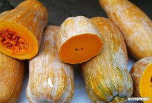 吃方瓜难受,美味与不适的微妙平衡