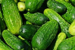 梦见吃很多的瓜,瓜果盛宴下的神秘启示