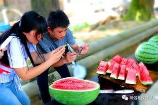 地里摘瓜的感觉吃瓜,吃瓜的畅快淋漓