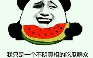 一处吃瓜群众,吃瓜群众视角下的娱乐圈风云